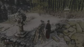 audap’s Sekiro Shadows Die Twice PC 4K HDR P4