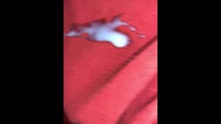 Close up cumshot uncutcock 4k 60fps huge mess solo handjob big load  .
