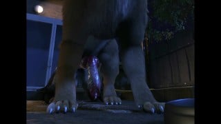 Comet and dog anal knotting doggy style and oral (4k 60fps H0rs3)