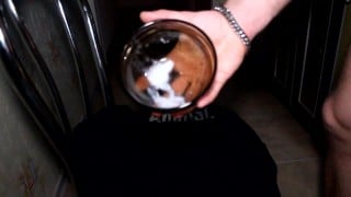 My home cumshot in a bowl