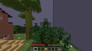 Vidéo de présentation MINECRAFT FR
