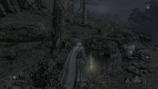 audap’s Sekiro Shadows Die Twice PC 4K HDR P5