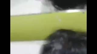 Como me grita esta rica perra LOCA , Me la cogí en un hotel
