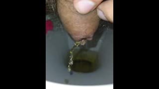 Pissen auf der Toilette (1)