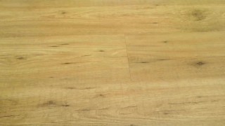 Sexy Floor full hd 60fps