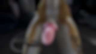 The Exclusive Meeting ( Teasing Video )